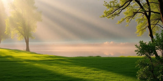 Beruhigende Landschaft mit Wasser und sanften Sonnenstrahlen.
