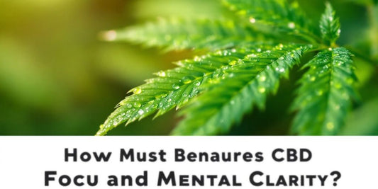 Nahaufnahme eines Cannabisblattes mit Tautropfen.