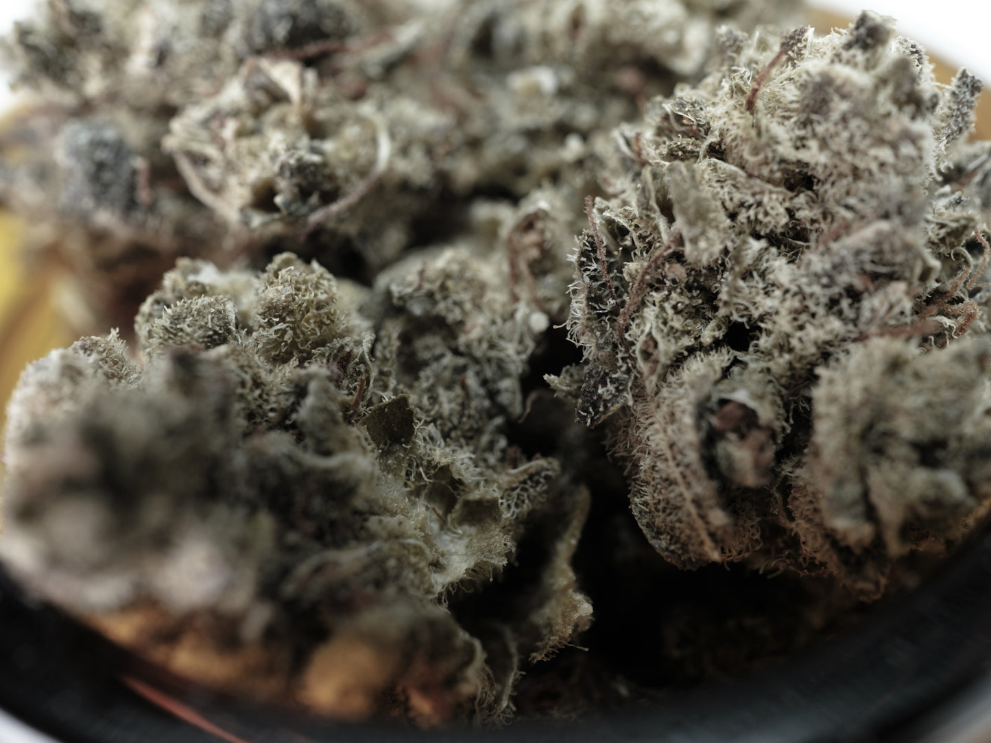 CBD Cheese