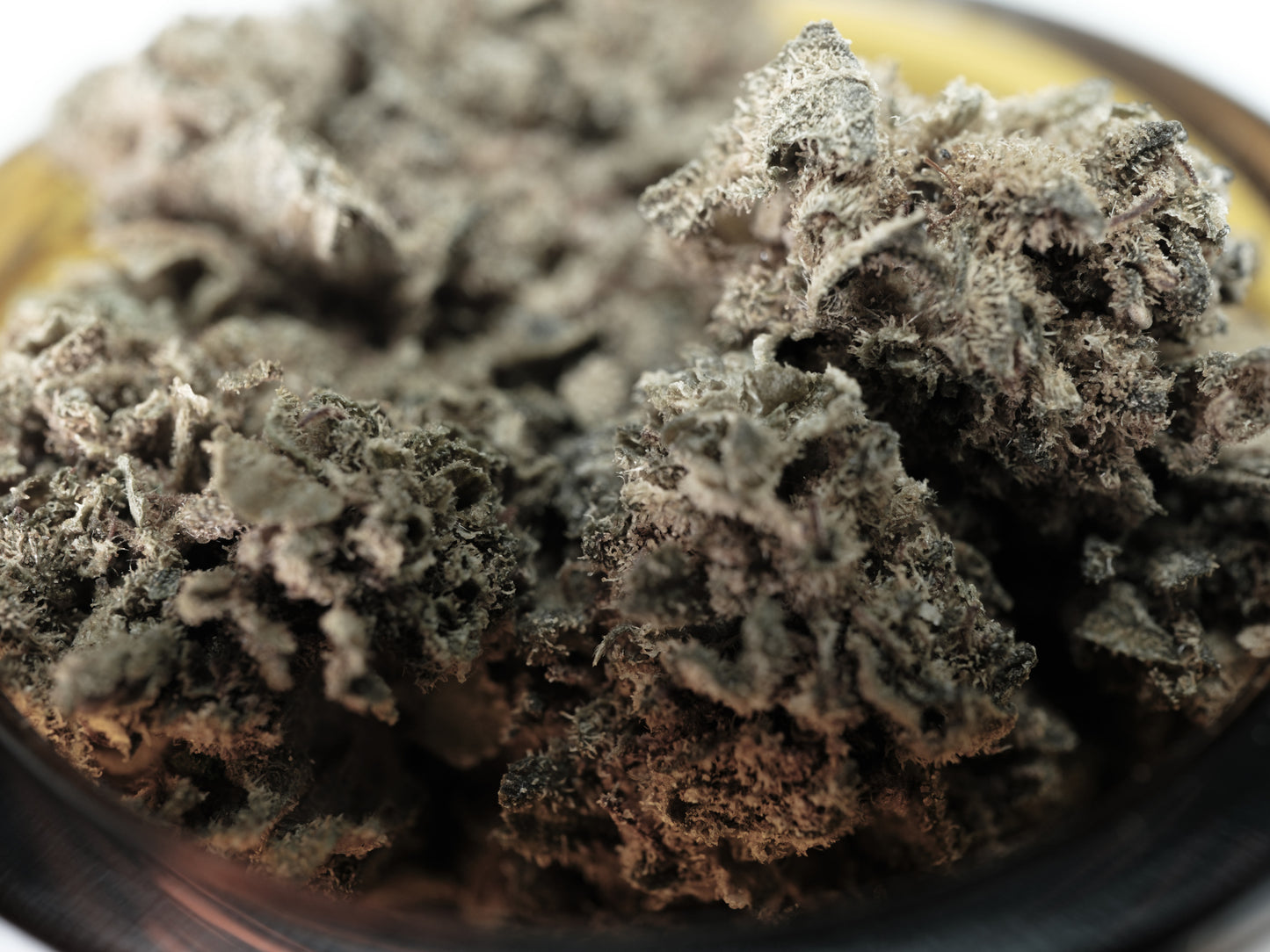 CBD Harlequin