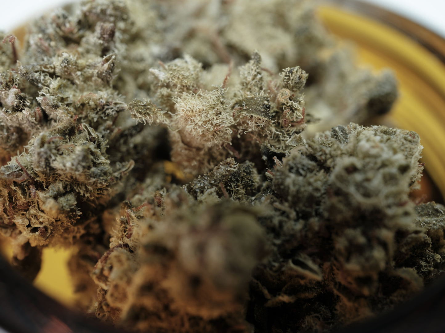 CBD Orange Bud